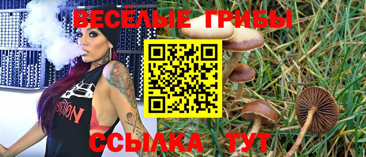 Псилоцибиновые грибы Cubensis Жигулёвск